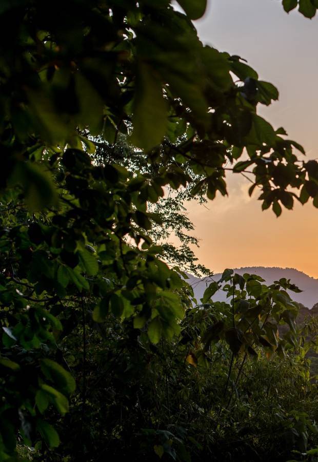 Coucher de soleil sur les Monts Galbao © Guillaume Feuillet / Parc amazonien de Guyane