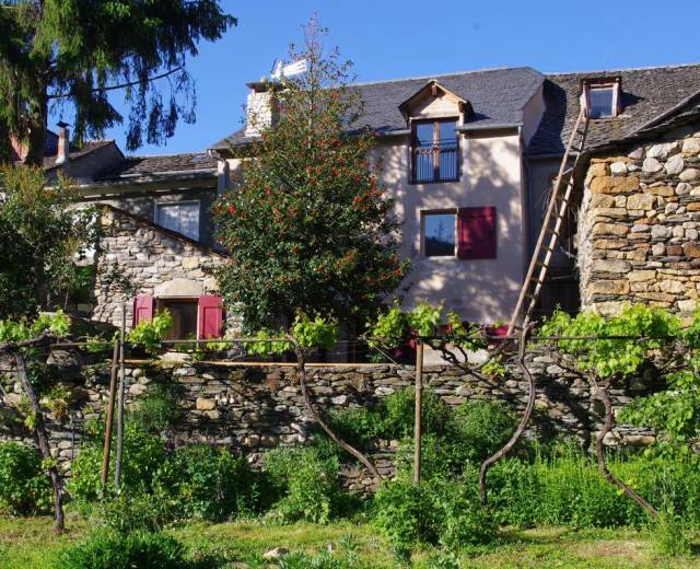 Jardin © Gîte Chez Mamie Thé